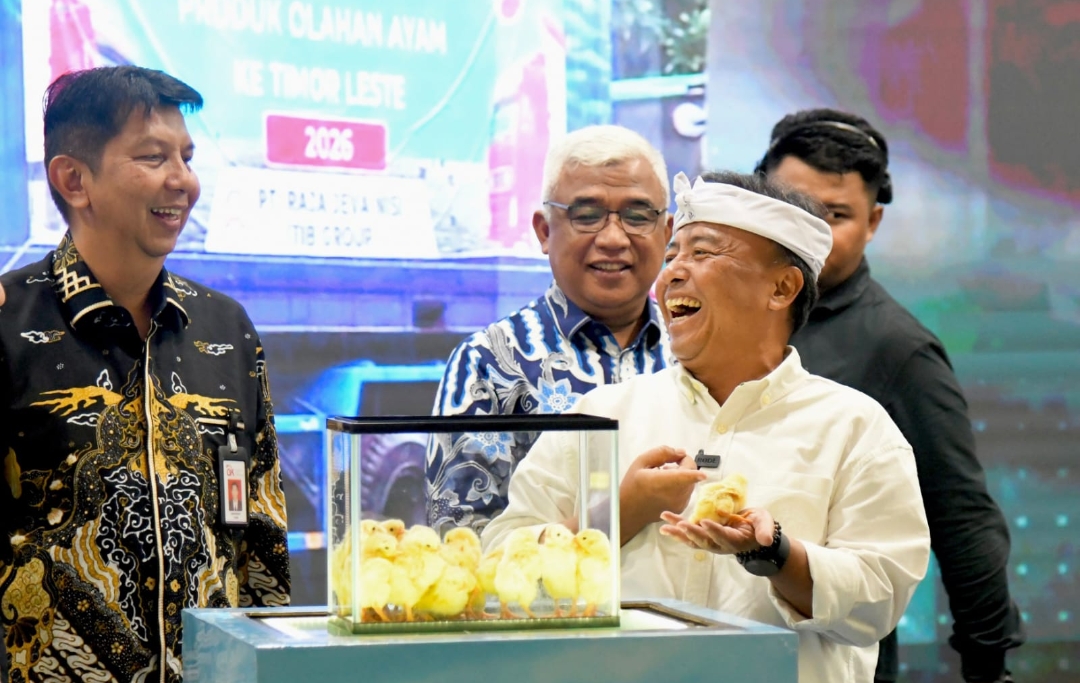 Program EGG Jabar Diluncurkan, 4.665 Peternak Ayam Petelur Didorong Naik Kelas