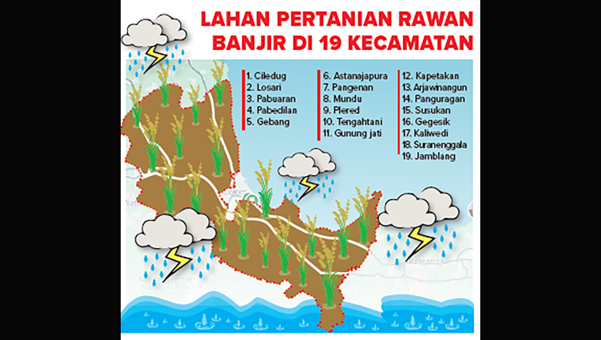 1.550 Hektare Lahan Pertanian di Kabupaten Cirebon Rawan Banjir