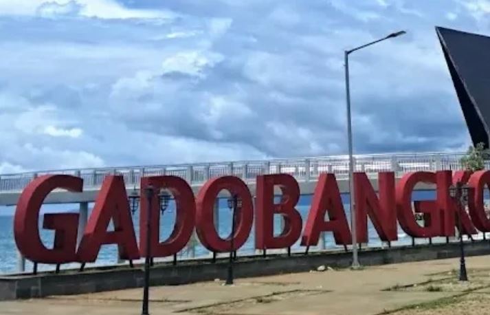 Disperkim: Biaya Replika Penyu Gadobangkong Bukan Rp15,6 Miliar