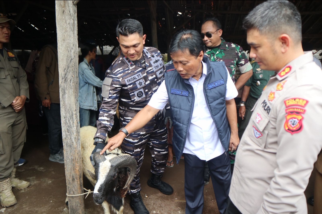 Hewan Kurban di Kota Cirebon Dipastikan Aman dan Sehat Jelang Idul Adha