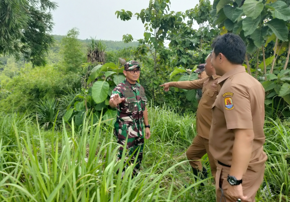 Danrem 063 SGJ Tinjau Sawit di Pasaleman, TNI Siap Bantu Pencabutan dan Tanam Ulang