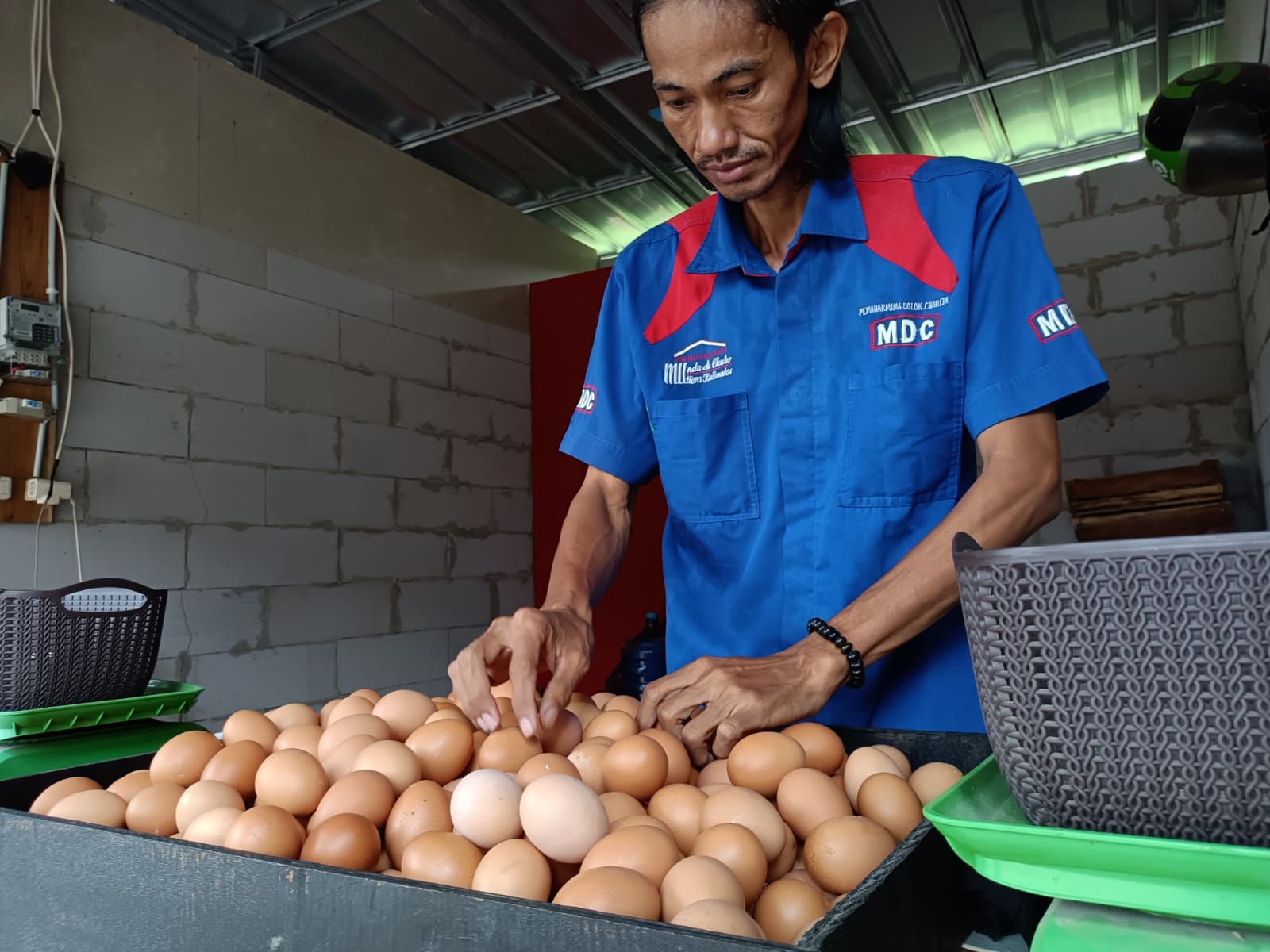 Telur Ayam Ras Sumbang Inflasi Tertinggi di Mei 2023
