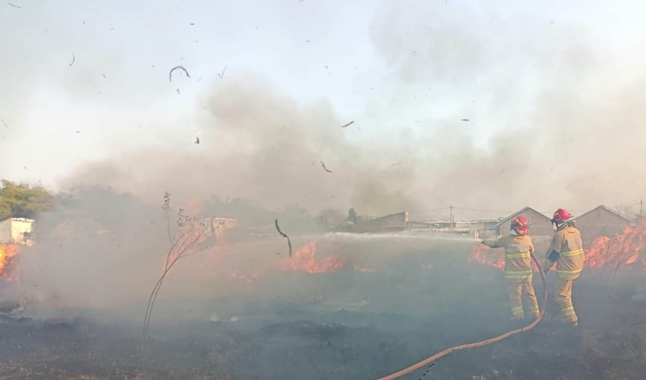 Kebakaran Lahan 1,5 Hektare di Tegalwangi Cirebon Nyaris Merembet ke Gudang MBG