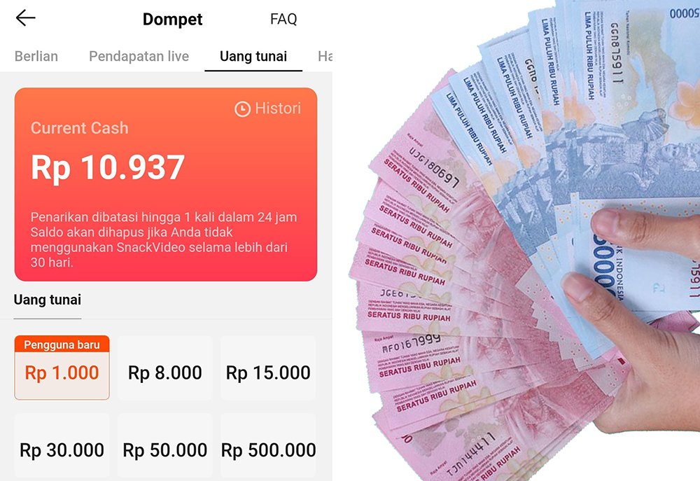 Dapat Jutaan dari Internet, Bagi Pemula Langsung Dibayar Kontan 