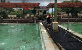 Pemandian Air Panas Ciater: Surga Relaksasi di Kaki Gunung Tangkuban Perahu