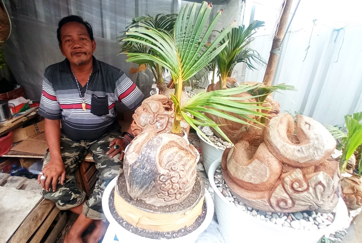 Harga Bonsai Kelapa di Pasar Kanoman Cirebon, Unik dengan Ukiran Batik, Tokoh Pewayangan hingga Binatang