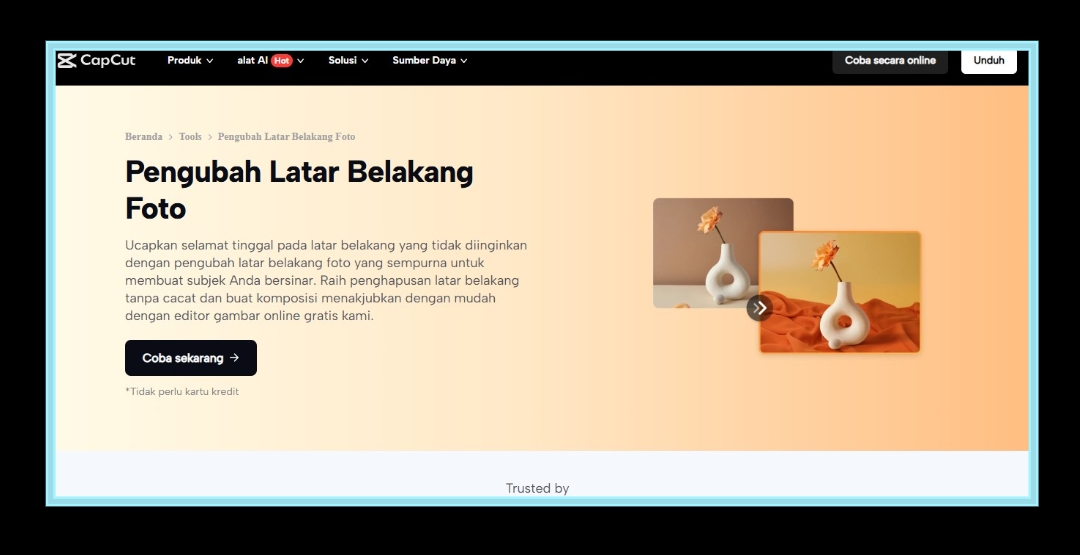 Ganti Background Foto Jadi Mudah, Ini Cara Edit Foto Profesional Pakai CapCut