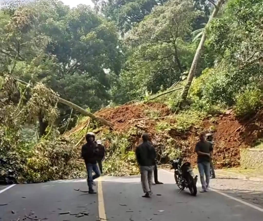 Dampak Gempa Cianjur, Jalan Puncak Putus karena Longsor
