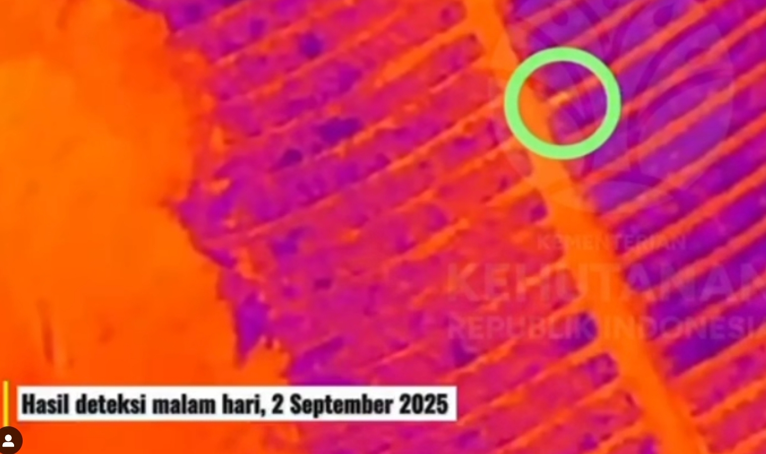 Cari Macan dari Kutamandarakan Kuningan, BBKSDA Sisir Hutan Gunung Tangkuban Parahu