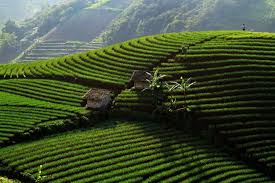 Rekomendasi 5 Wisata Alam Majalengka