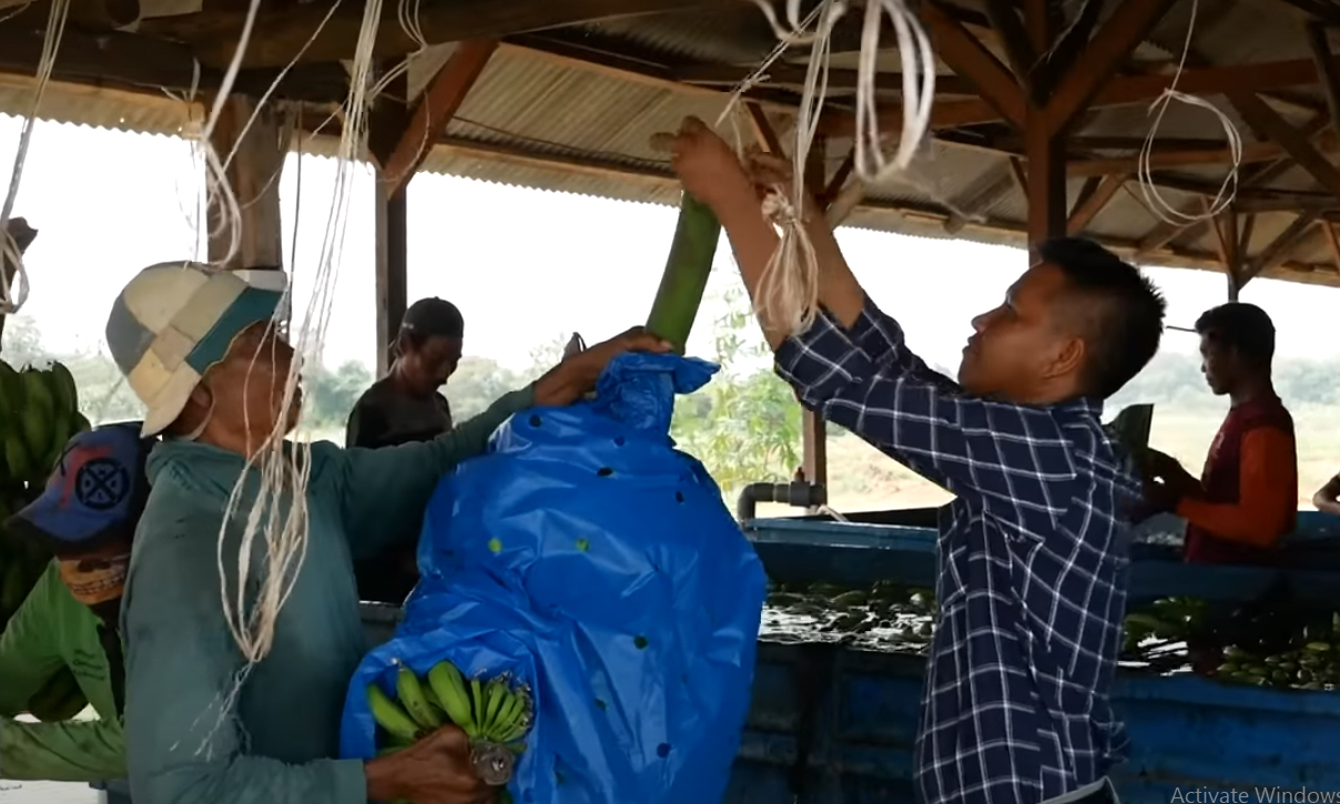 MENGEJUTKAN! Pekerja Beberkan Perlakuan Al Zaytun, Bandingkan dengan Perusahaan Lain