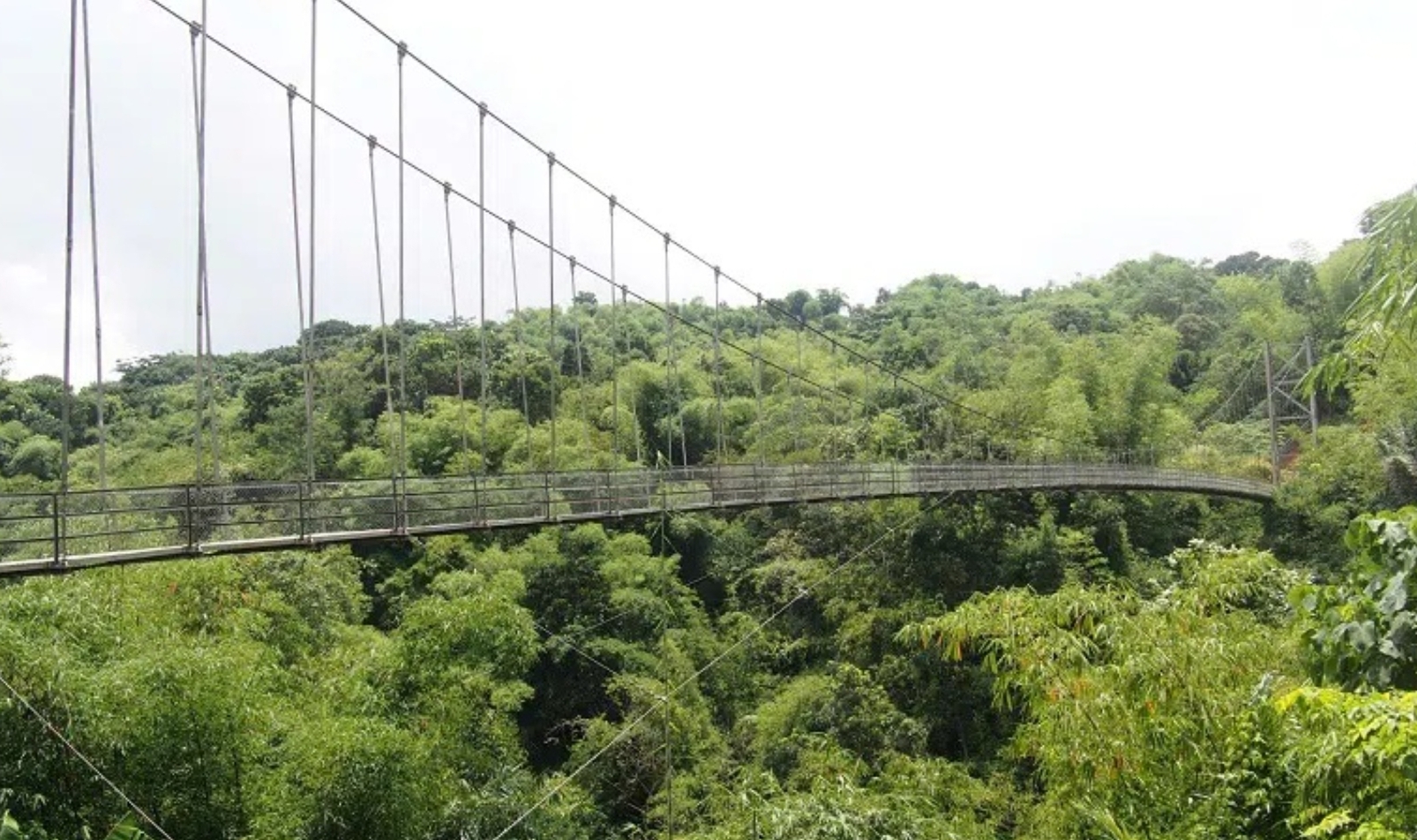 Pusat Gempa Bumi Kuningan Dekat Jembatan Gantung Citangtu, di Sini Titik Perkiraan Lokasi