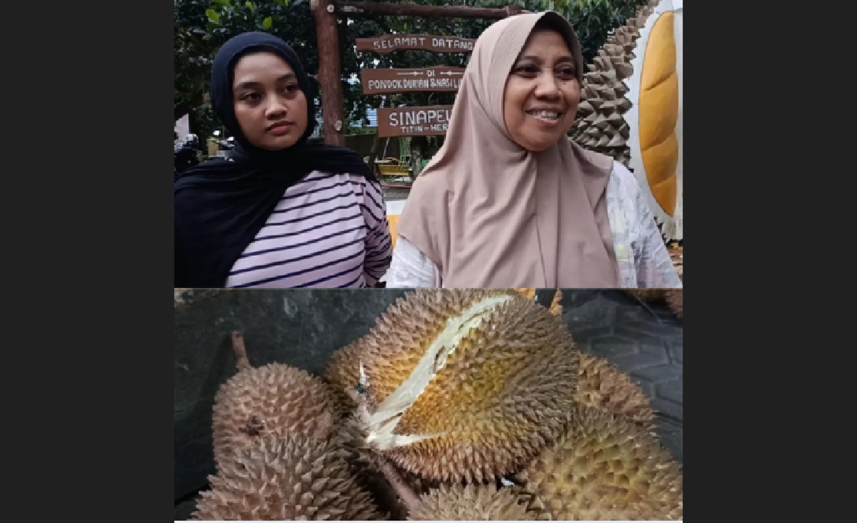 Wisata Durian Sinapel Majalengka, Warisan Tiga Generasi dengan Durian Perwira Legendaris