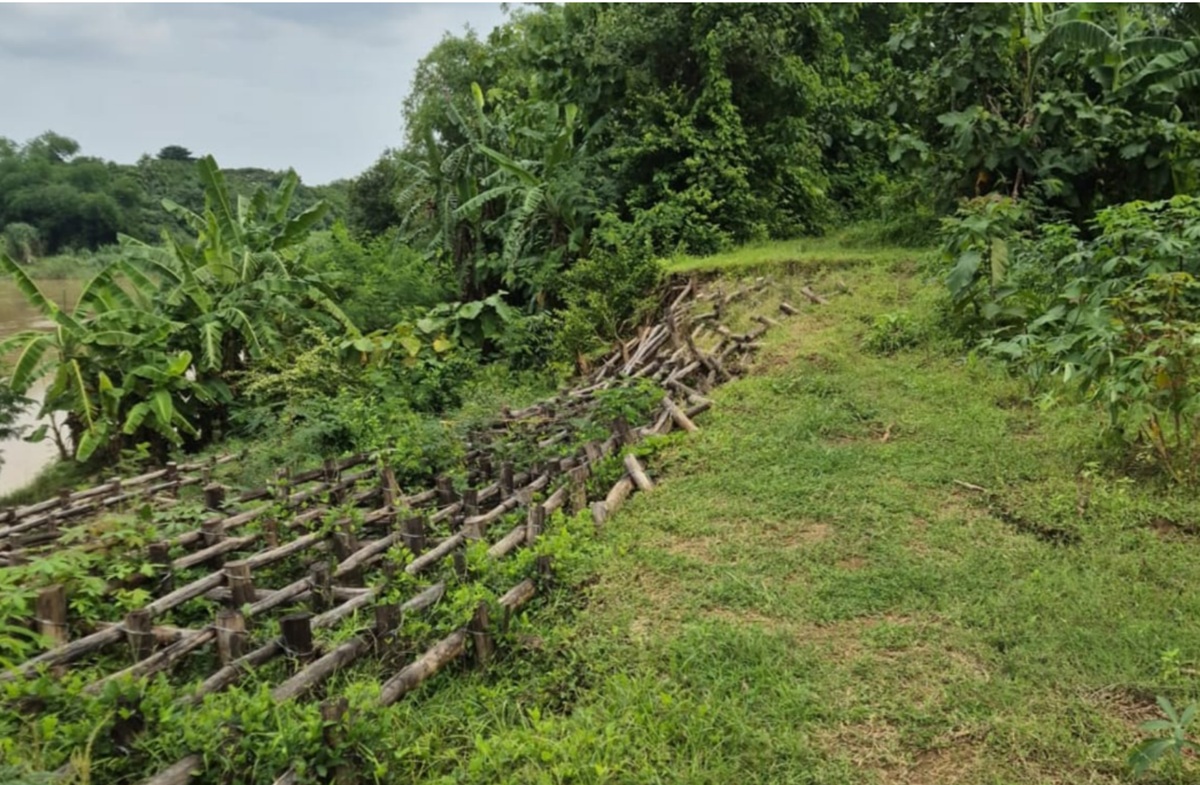 Hujan Deras, Tanggul Sungai Cimanuk di Indramayu Kembali Amblas, Warga Waswas