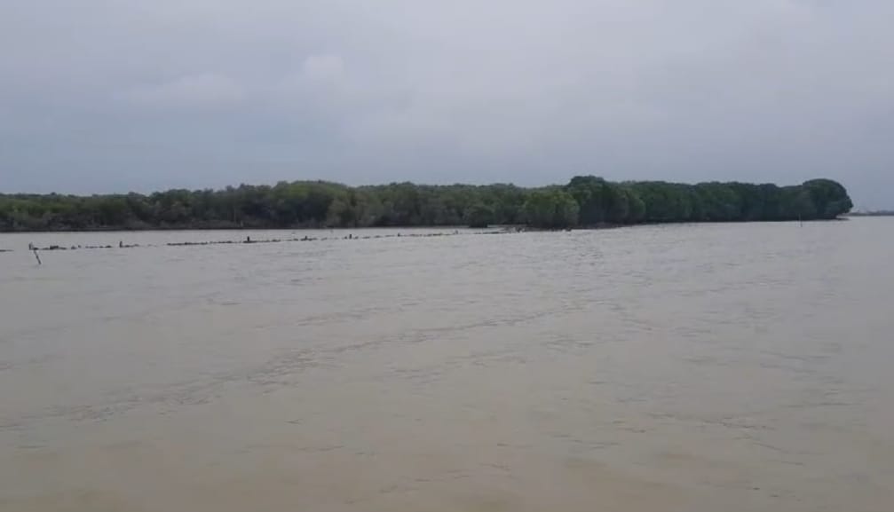 Soal Dugaan Pagar Laut di Pantai Gebang, Inilah Hasil Pengecekan Lapangan