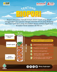 Biopori Sehatkan Bumi