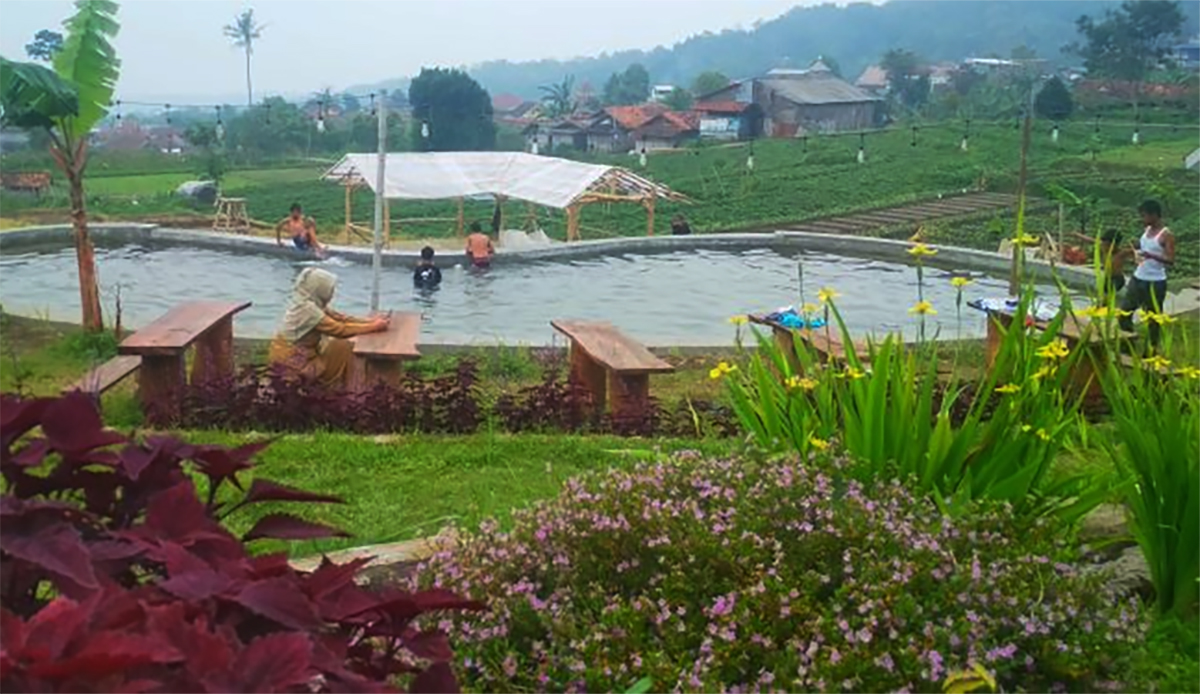 Agrowisata Pakuwon Kuningan: Wisata Viral Ramah Keluarga di Desa Pejambon