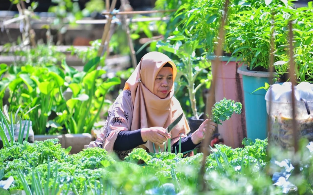 KWT Mandiri Cimahi Sulap Hasil Kebun Jadi 14 Produk Olahan, Dukung Ketahanan Pangan Keluarga