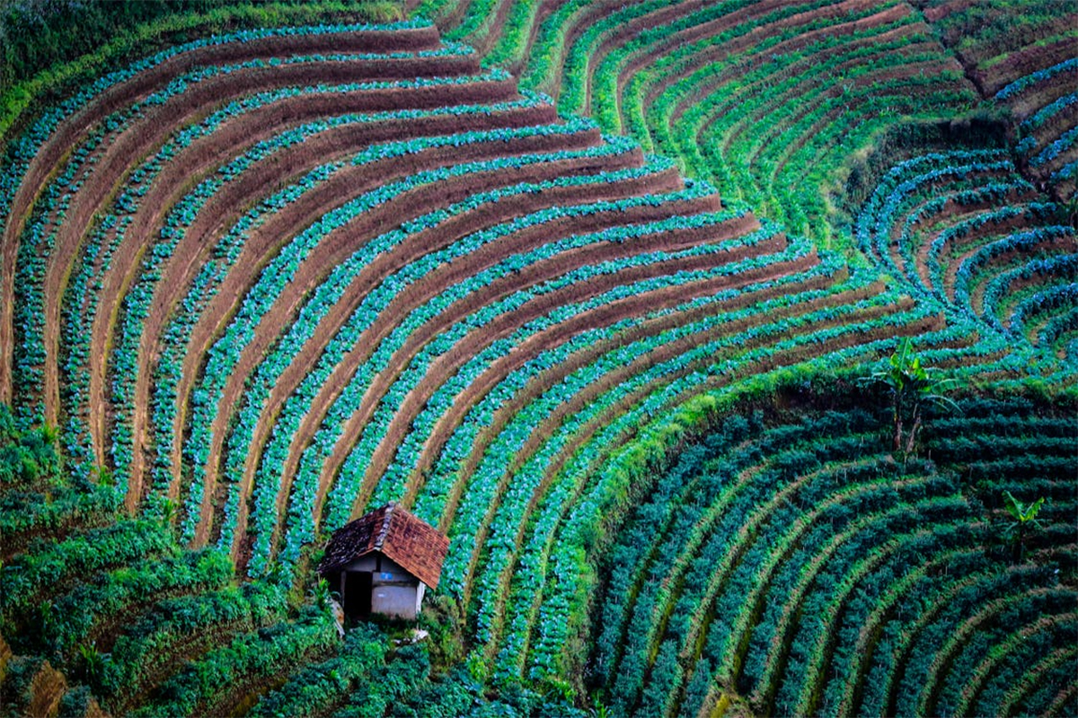 Wisata Murah di Majalengka: Destinasi Hits 2025 yang Bikin Liburan Hemat Tanpa Ribet!