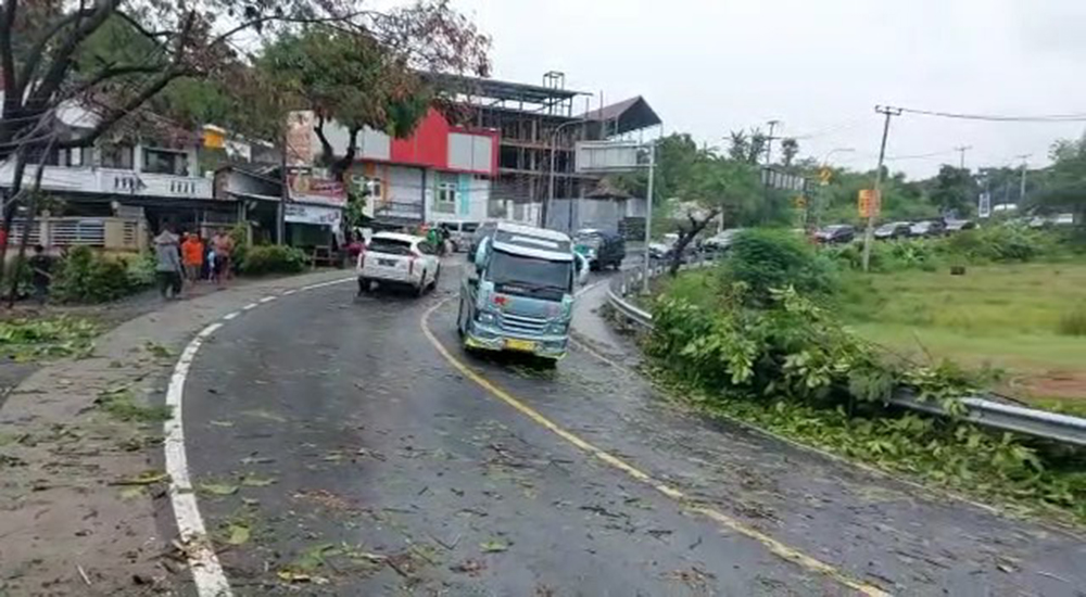 Sempat Macet Karena Pohon Tumbang, Arus Lalin Cirebon-Kuningan Kembali Normal