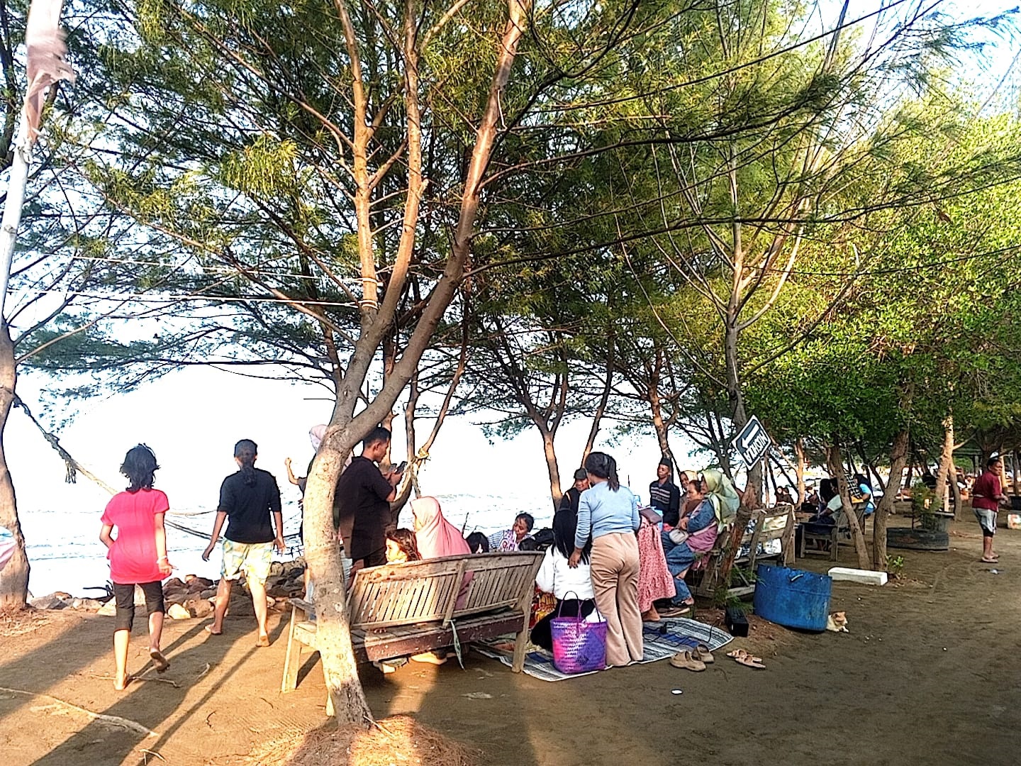 Nikmati Pohon Cemara di Pinggir Pantai, Tempat Liburan Murah di Indramayu
