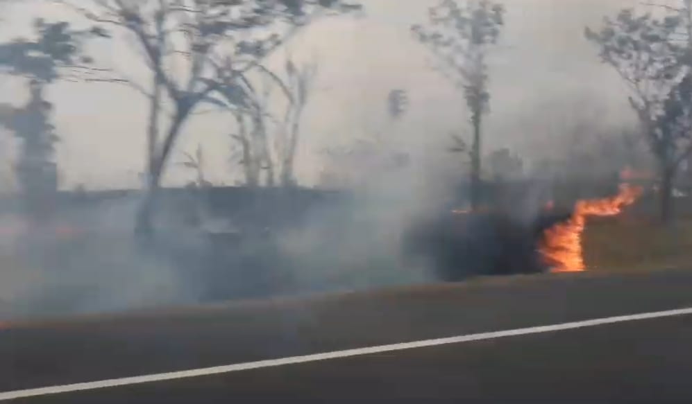 BREAKING NEWS: Kebakaran di Tol Cipali Km 140, Asap Cukup Tebal