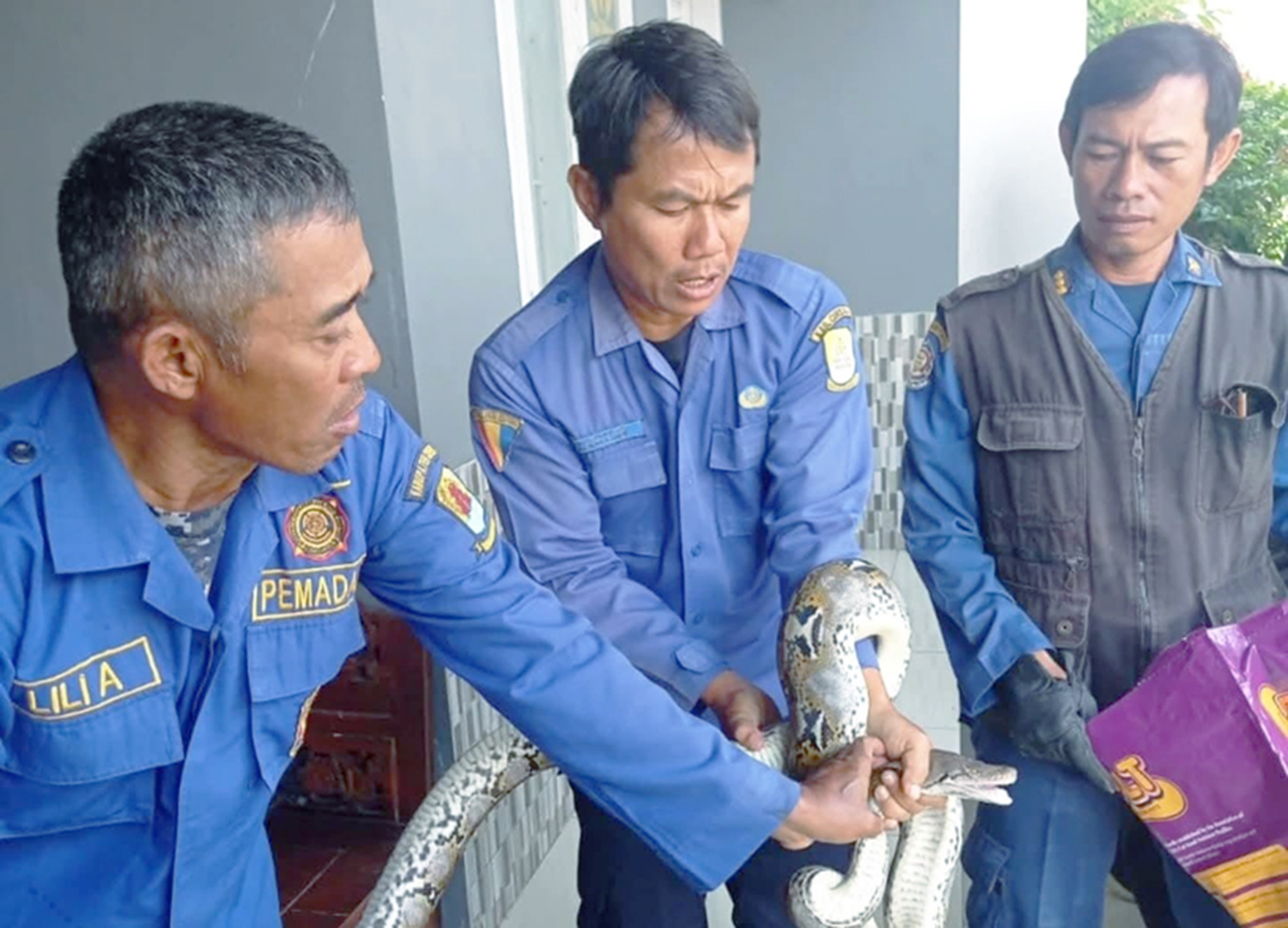 Tugas Damkar Kini Lebih Sering Lakukan Penyelamatan Ketimbang Padamkan Api