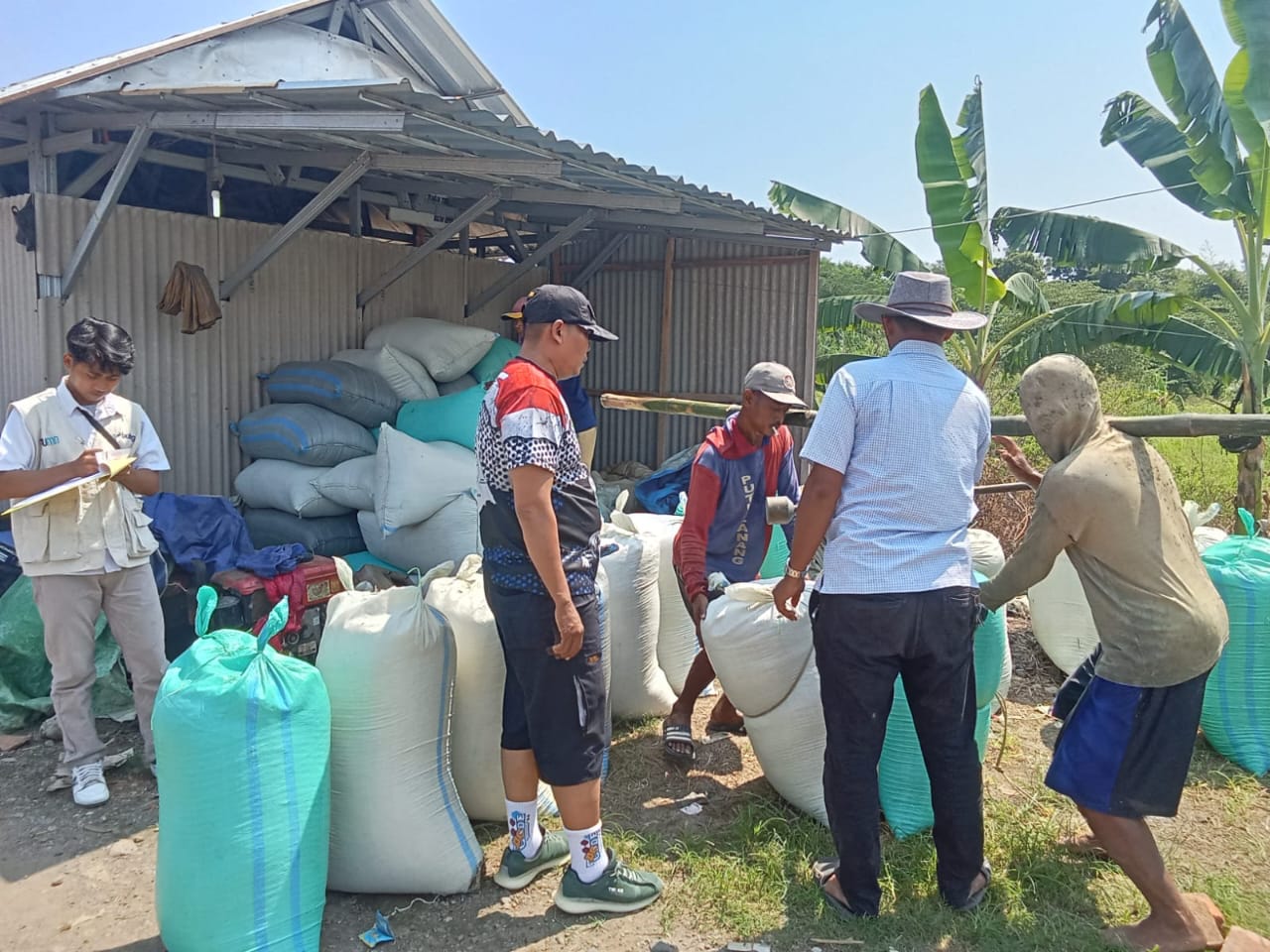 Babinsa Kelurahan Pulasaren Kawal Tim Serap Gabah Bulog di Sawah Poktan Sipanggang Jaya