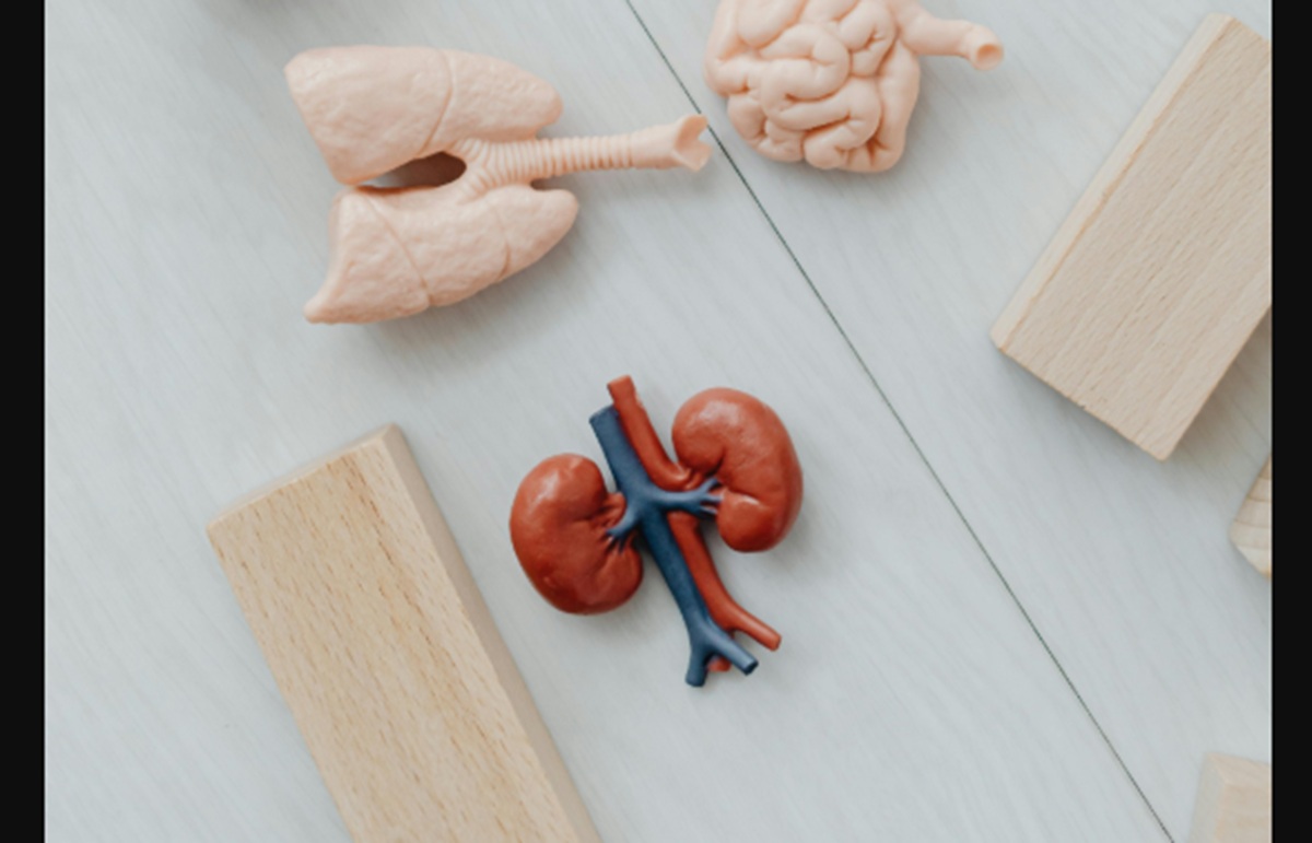 4 Penyebab Resiko Seseorang Terkena Kanker Ginjal