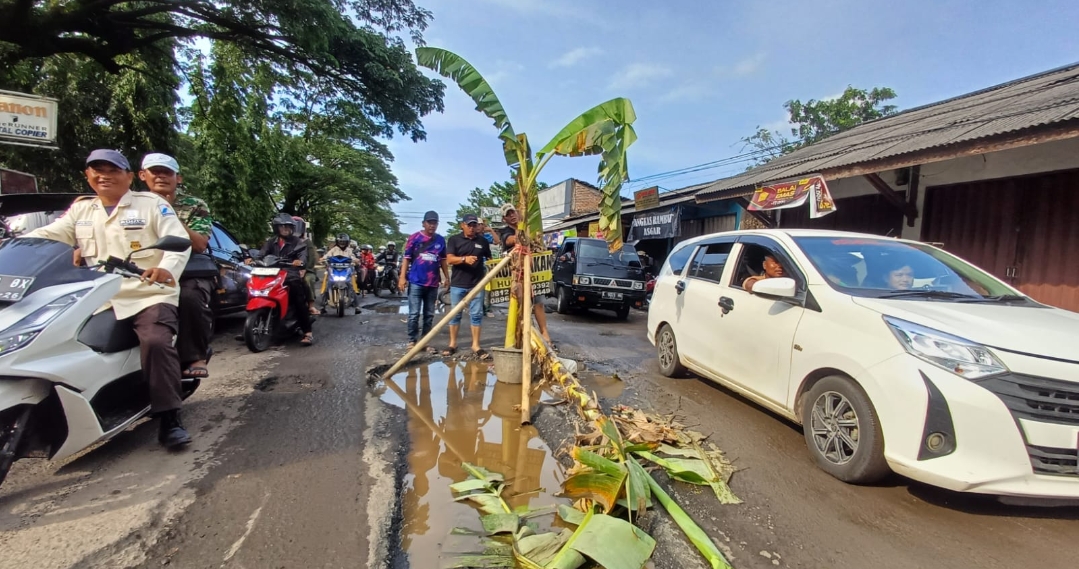 Jalan Kanci–Sindanglaut Rusak Parah dan Banjir, Warga Tanam Pisang di Tengah Jalan