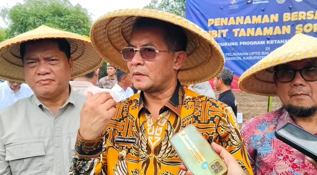 Lewat Penanaman Sorgum, Pemprov Jabar Dorong Diversifikasi Pangan 
