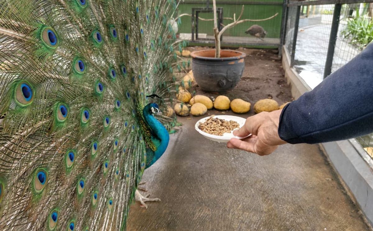 Kreatif, Begini Cara Aston Cirebon Hotel Daur Ulang Limbah dan Lestarikan Lingkungan