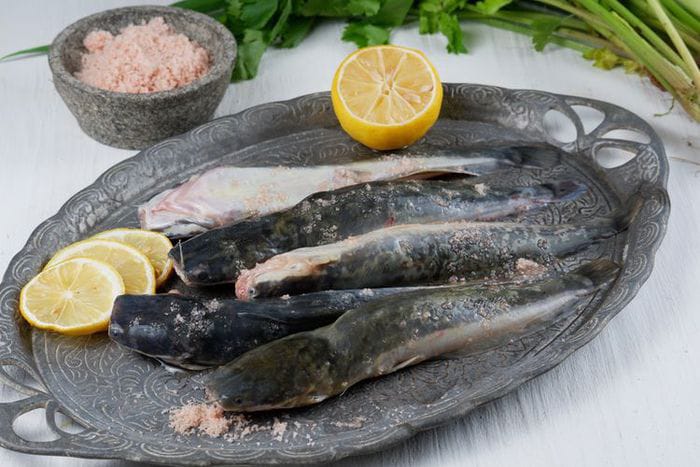 Tips Membersihkan Ikan Lele Berlendir Sebelum Dimasak, Gunakan Bahan Ini