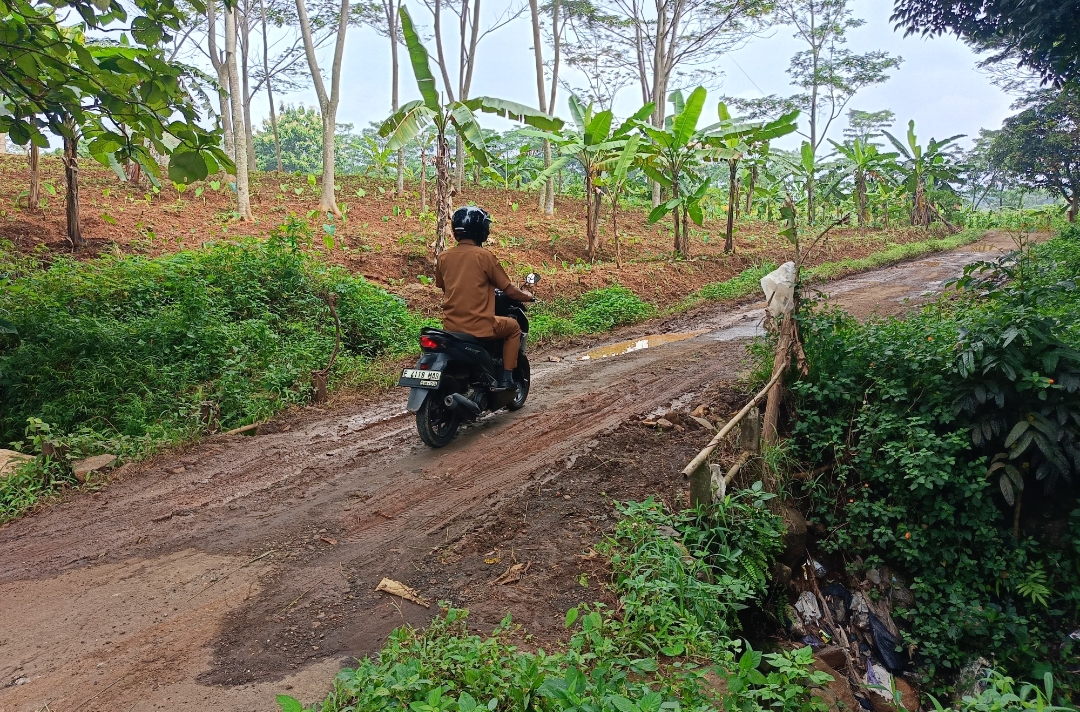 Mengkhawatirkan! Jalur Penghubung Jatipancur–Durajaya Terancam Ambruk
