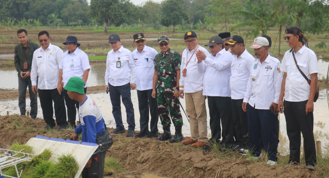 Danrem 063 SGJ Siap Bantu Pemerintah Serap Gabah Hingga Pelosok Desa
