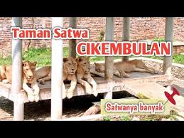 Liburan Keluarga ke Garut, Ini 5 Tempat Wisata Seru untuk Anak