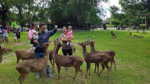 Destinasi Wisata di Cirebon yang Ngga Bikin Kantong Bocos!