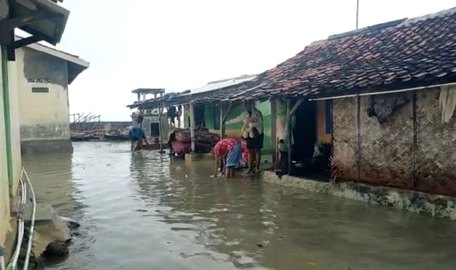 Lagi Banjir Rob Kembali Terjang Eretan, Pemukiman Warga di Desa Eretan Kulon Terendam 