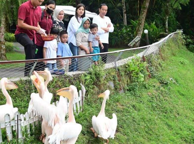 Liburan Ke Wisata Satwa, Jokowi Ajak Cucunya Menikmati Nuansa Alam dan Pengenalan Satwa