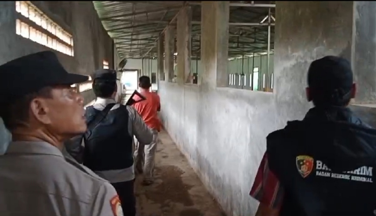 Lokasi Judi Sabung Ayam di Ciwaringin Kabupaten Cirebon Digerebek Polisi 