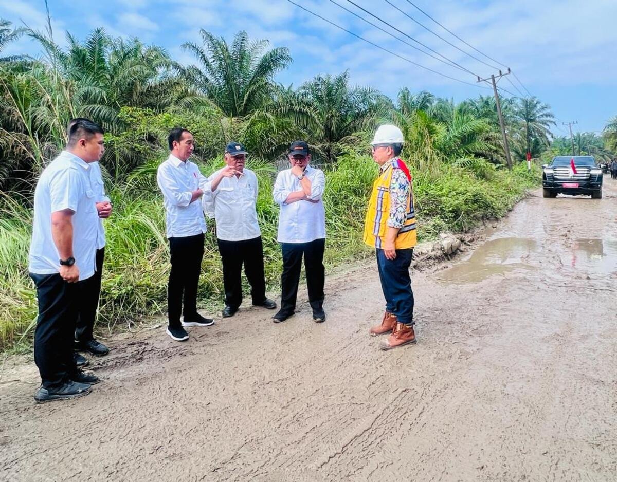 Duh! Imbas Jokowi Cek Jalan Rusak, Bambang Pardede Dicopot dari Jabatan Kadis PUPR