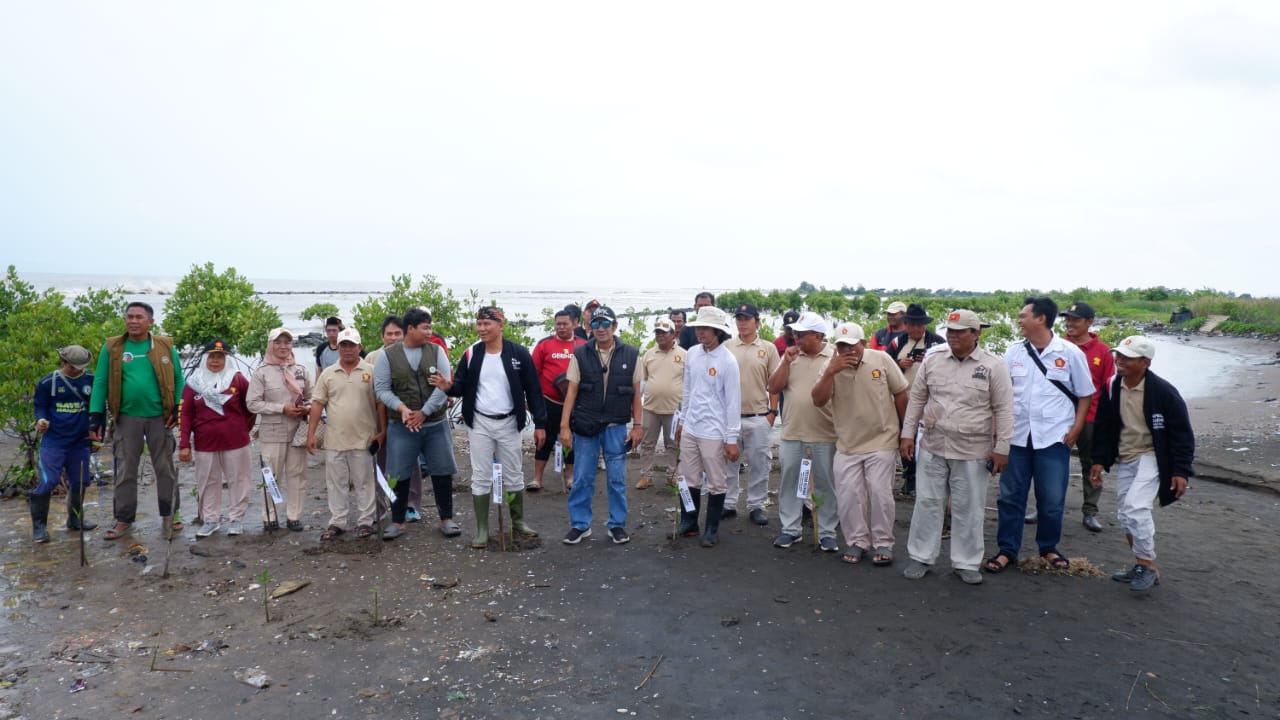 Cegah Abrasi Pesisir, DPC Gerindra Indramayu Tanam 1.200 Mangrove di Desa Tanjakan