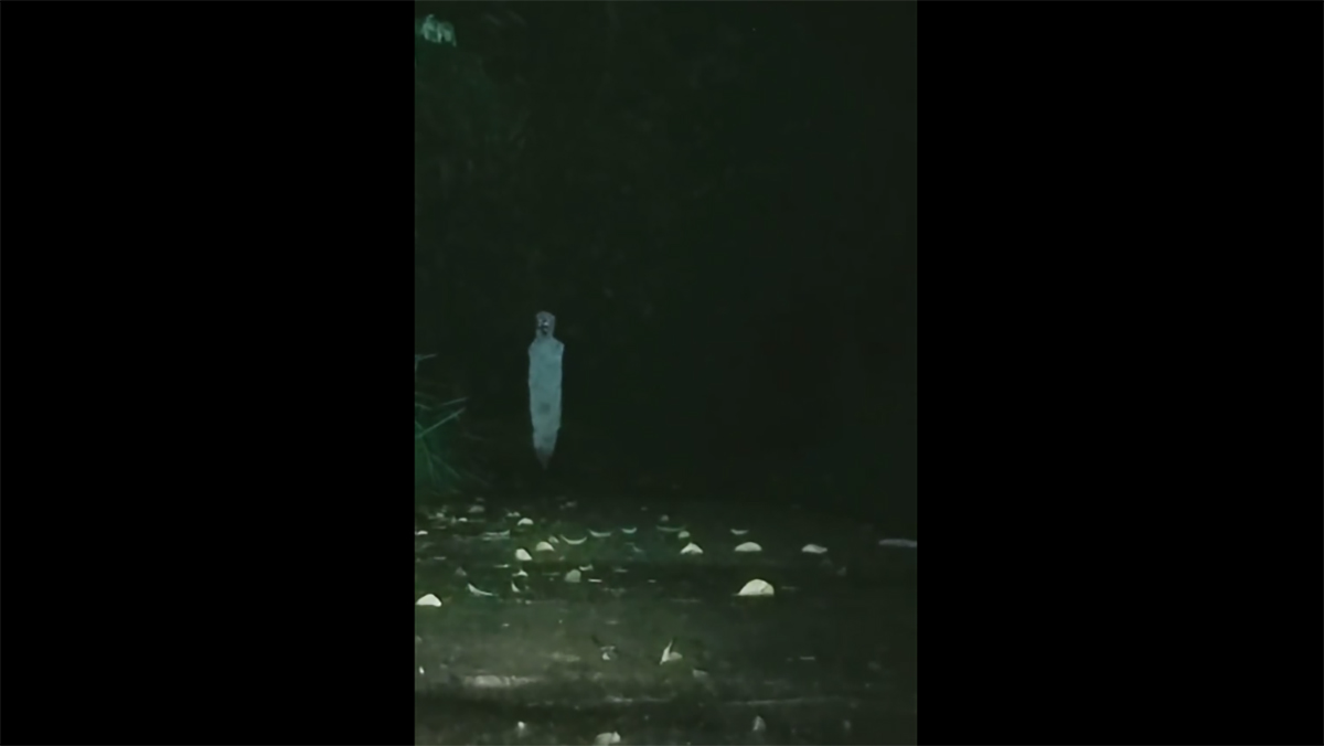 VIRAL Video Pocong Diduga di Kuningan, Kuwu Cikadu Buka Suara