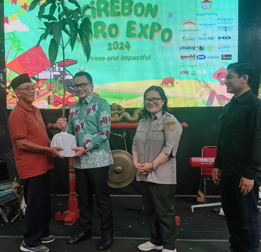 Kabupaten Cirebon Resmi Luncurkan Mangga Roman Ayu di Cirebon Agro Expo 2024