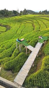 Wisata Murah di Majalengka: Destinasi Hits 2025 yang Bikin Liburan Hemat Tanpa Ribet!