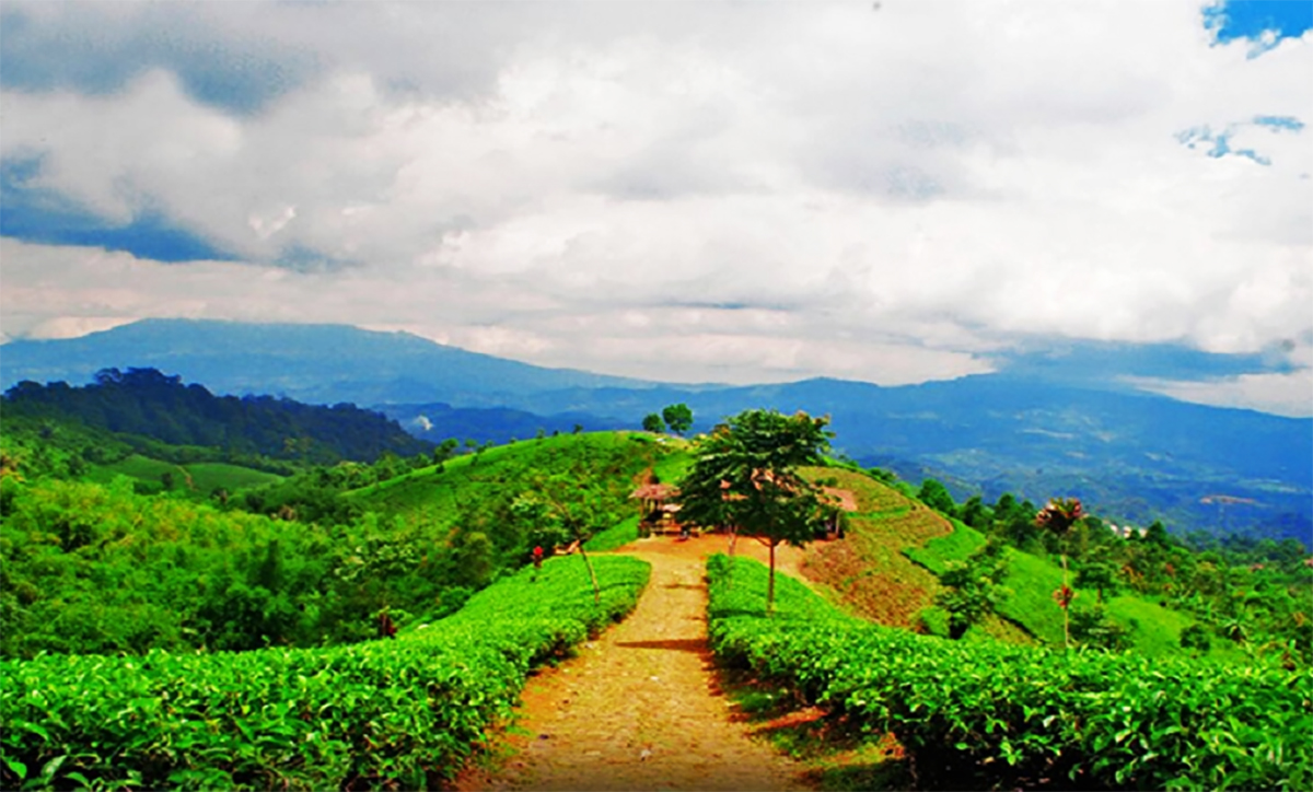Keindahan Swiss van Java: Menjelajahi Pesona Alam 8 Wisata Majalengka yang Viral