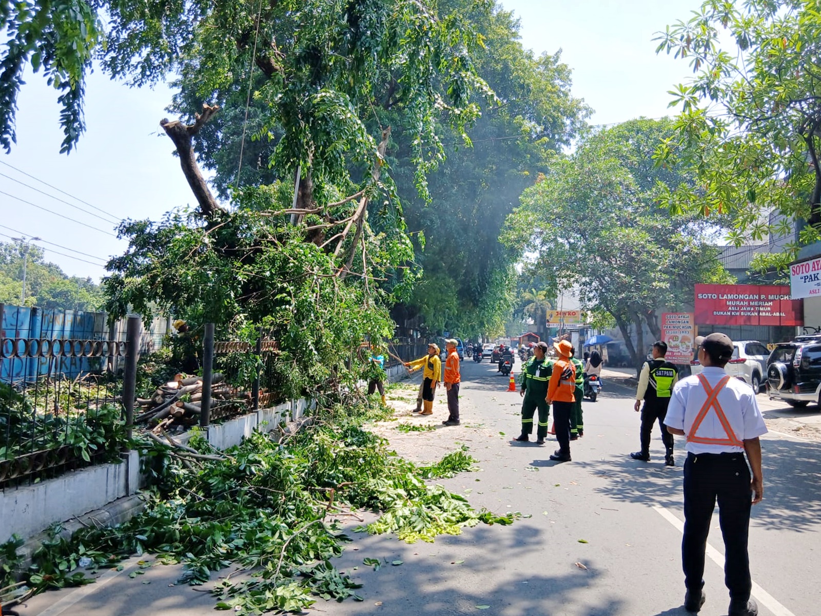 Antisipasi Terjadinya Pohon Tumbang Disekitar Stasiun Cirebonprujakan, PT KAI Daop 3 Lakukan Ini