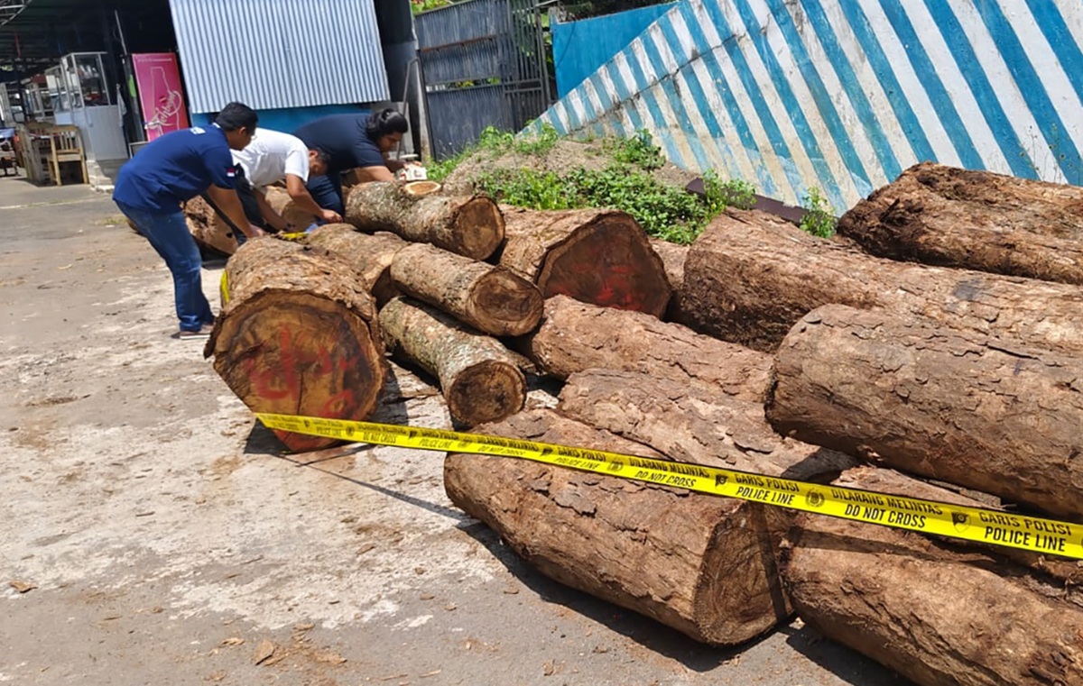 5 Tersangka Pembalakan Liar di Gunung Ciremai, Polisi Ungkap Peran dan Modusnya