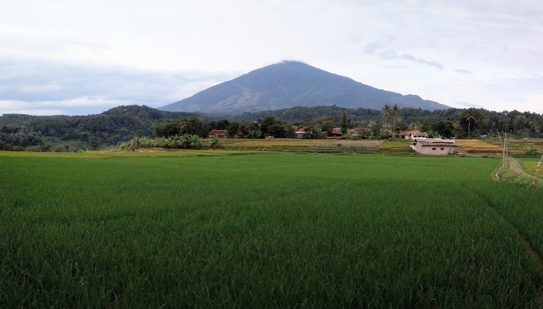 Wisata Alam di Kuningan: 7 Aktivitas yang Bisa Dilakukan di Gunung Ciremai Selain Mendaki 