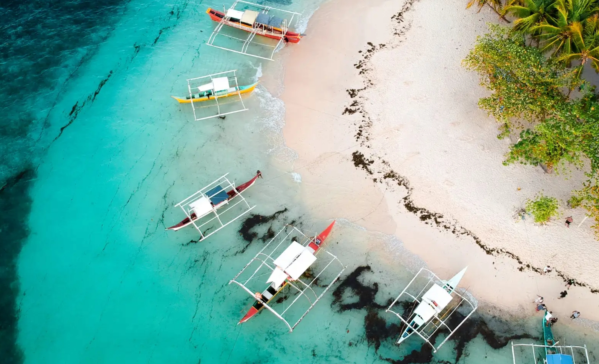 Dekat Indonesia, Ini Dia Pulau Sensay, Negara Pertama yang Dipimpin AI, Tertarik Jadi Warganya?